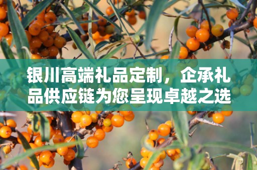 银川高端礼品定制，企承礼品供应链为您呈现卓越之选