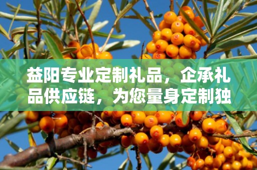 益阳专业定制礼品，企承礼品供应链，为您量身定制独特礼品